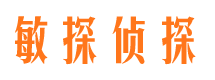 龙华市侦探公司